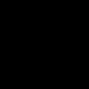 Meet your Posher, Jaden